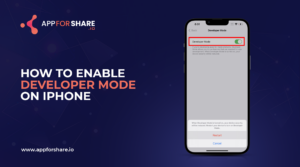 Read more about the article How to Enable Developer Mode on iPhone